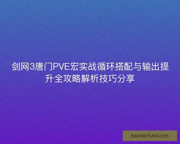剑网3唐门PVE宏实战循环搭配与输出提升全攻略解析技巧分享
