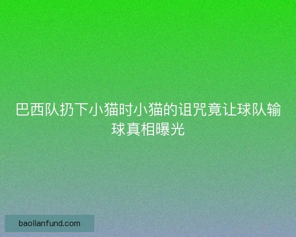 巴西队扔下小猫时小猫的诅咒竟让球队输球真相曝光